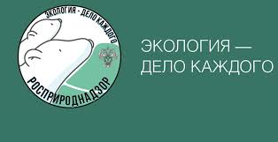 Экология - дело каждого Экология - дело каждого.